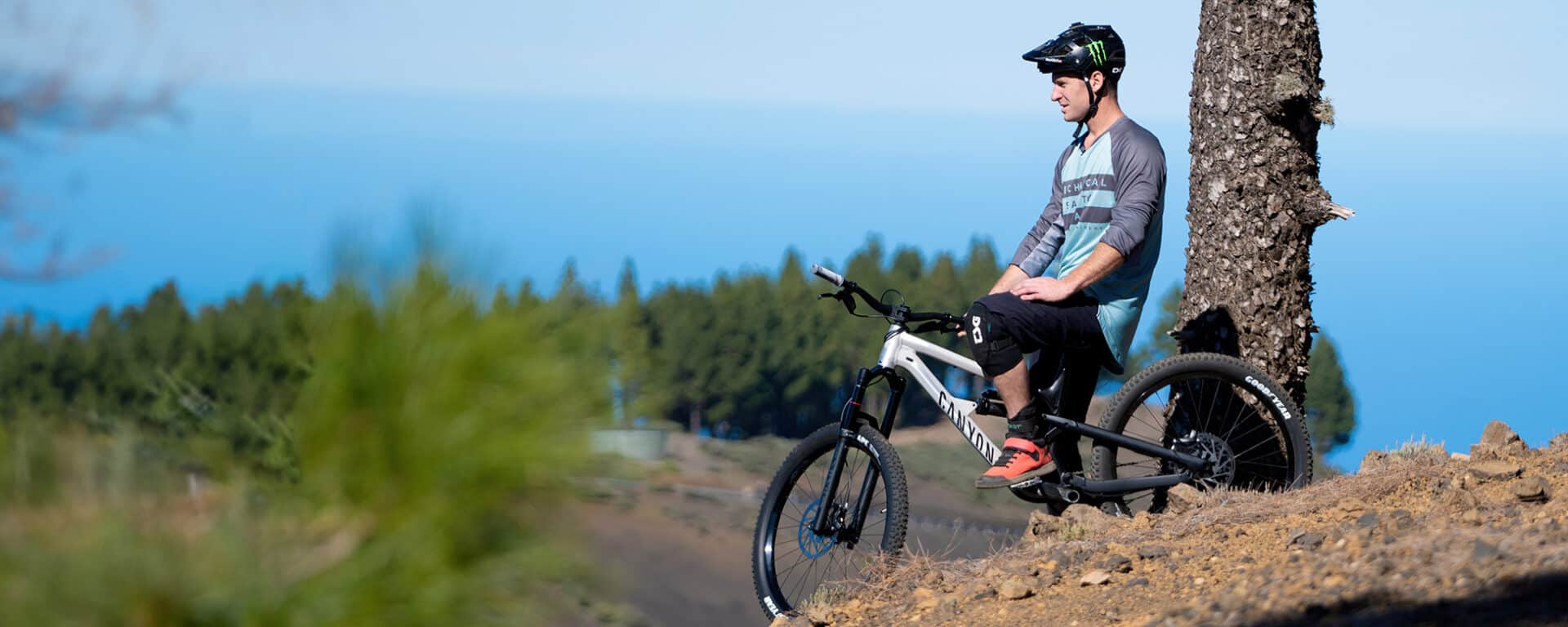 Sam Pilgrim Halo Wheels